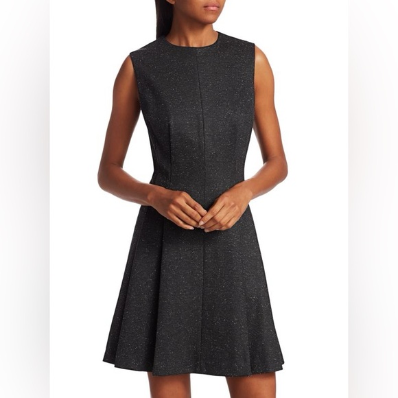 Theory Dresses & Skirts - Theory Sleeveless Sparkle Seamed A-Line Dress